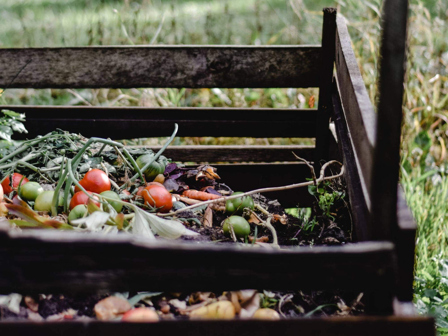 The best natural fertilisers for your lawn