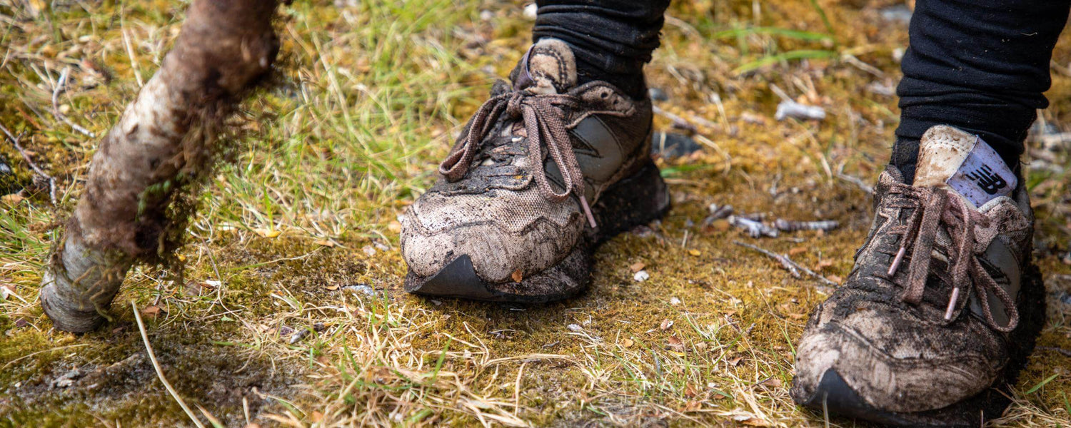 What to do with your lawn after winter