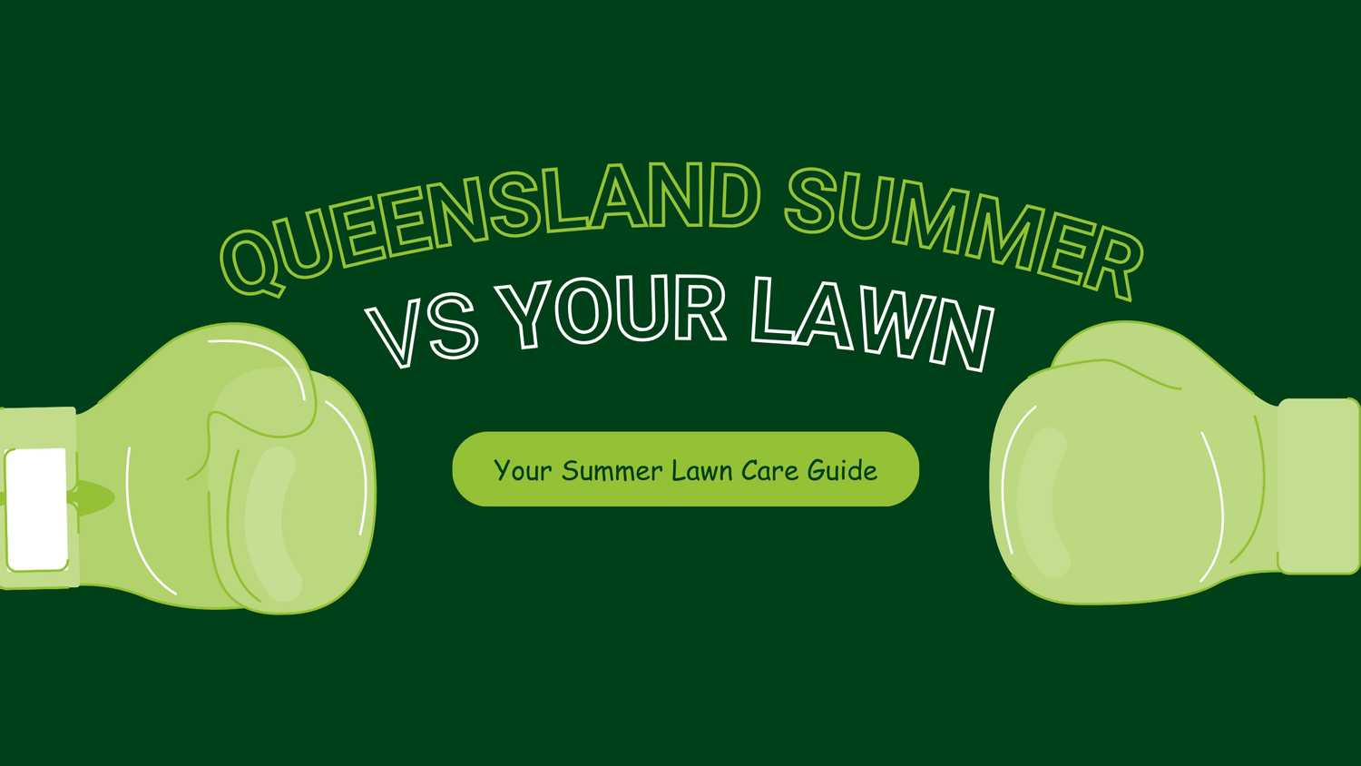 Queensland summer vs your lawn 🥊 How to ensure your turf comes out on top