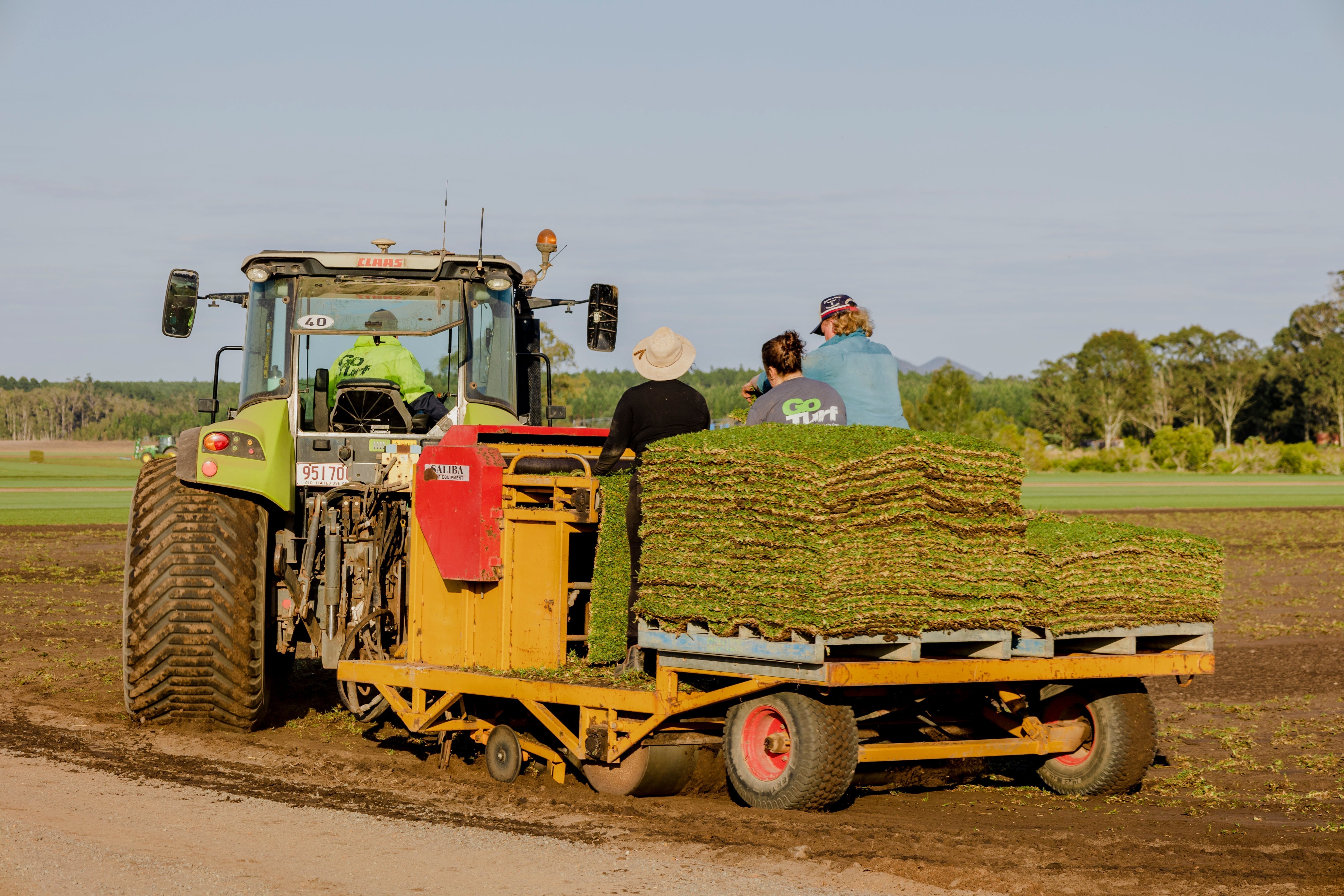 Does Premium Turf Come From Seed? No, Here’s How It’s Actually Grown