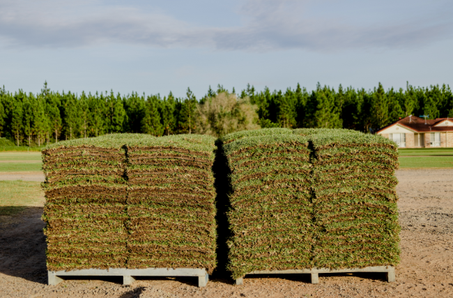 What You Wish They Told You About Preparing and Laying Your New Lawn