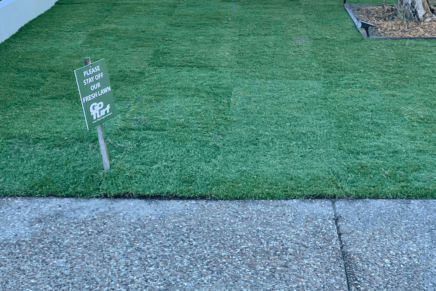 When to Install Your New Lawn During Home Renovations: Complete Timing Guide