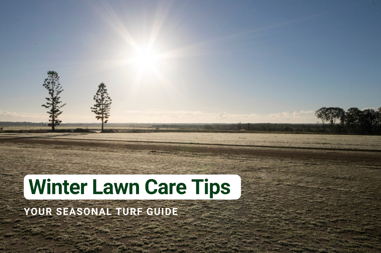 Winter Lawn Care Tips - Your seasonal turf guide