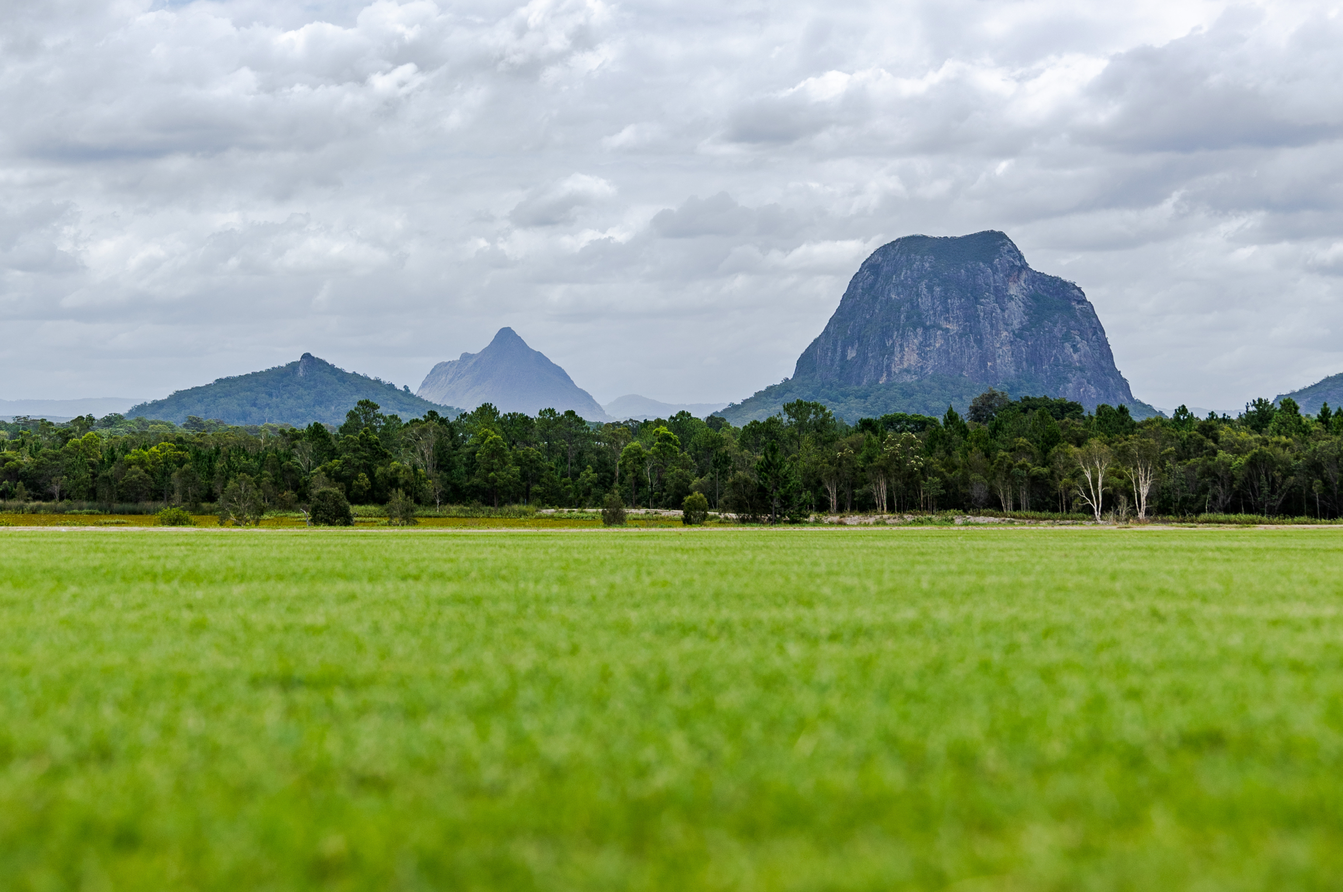 Your Complete Autumn Lawn Care Guide for Brisbane & the Sunshine Coast