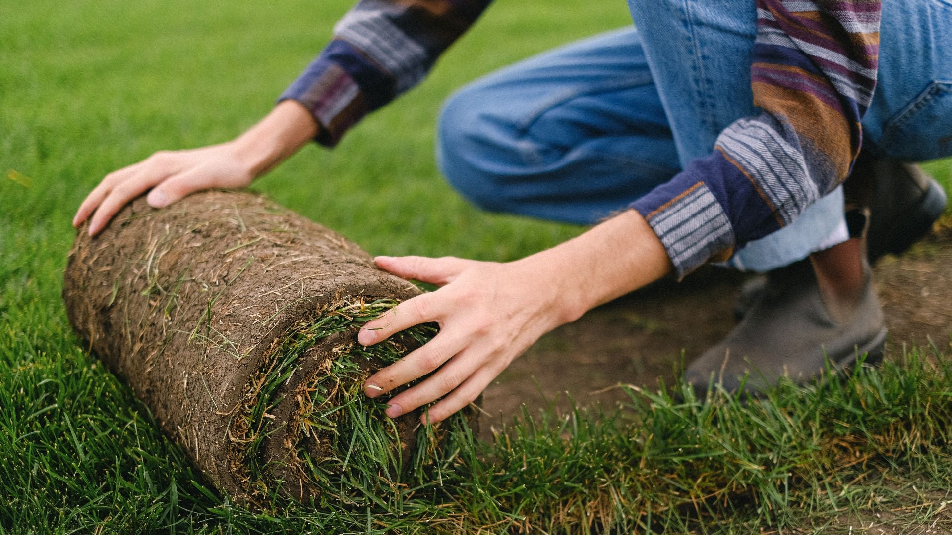 How To Install Turf Grass: Step-by-step Guide