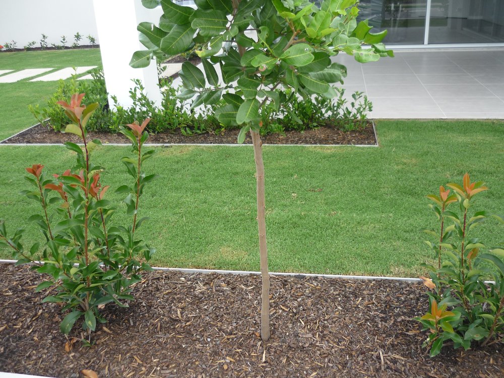 Hedge 100mm Aluminium Garden Edging - 2.9m