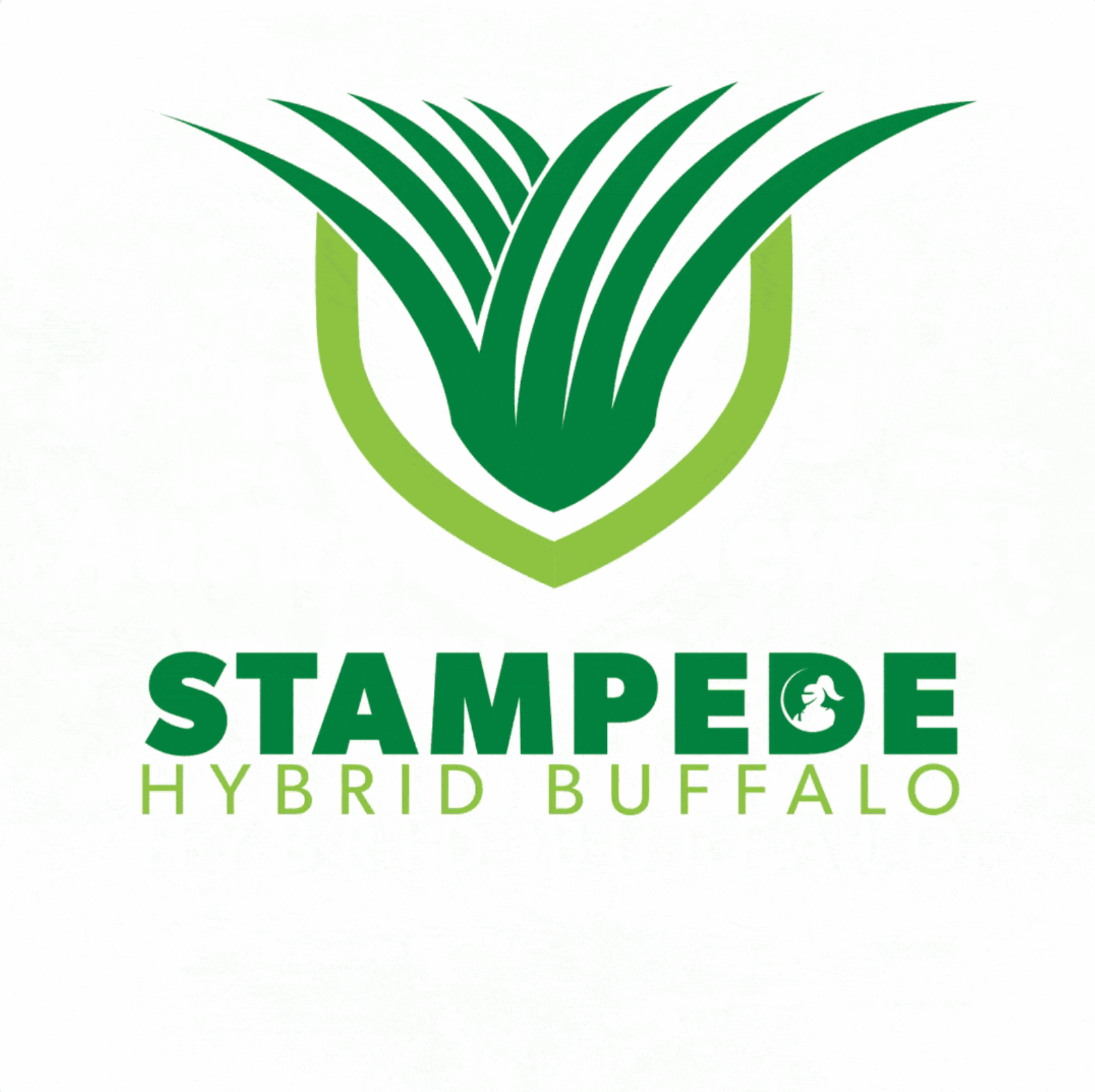 Stampede Hybrid Buffalo logo featuring a green grass design, representing premium turf solutions for lawns.