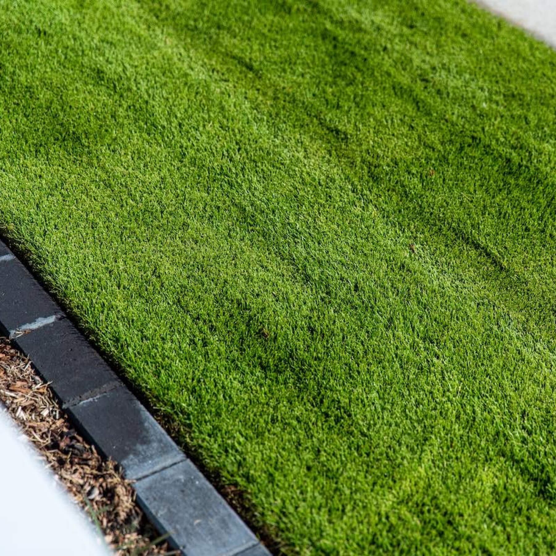 Sir Grange Zoysia | Buy it for $24.00 at GoTurf