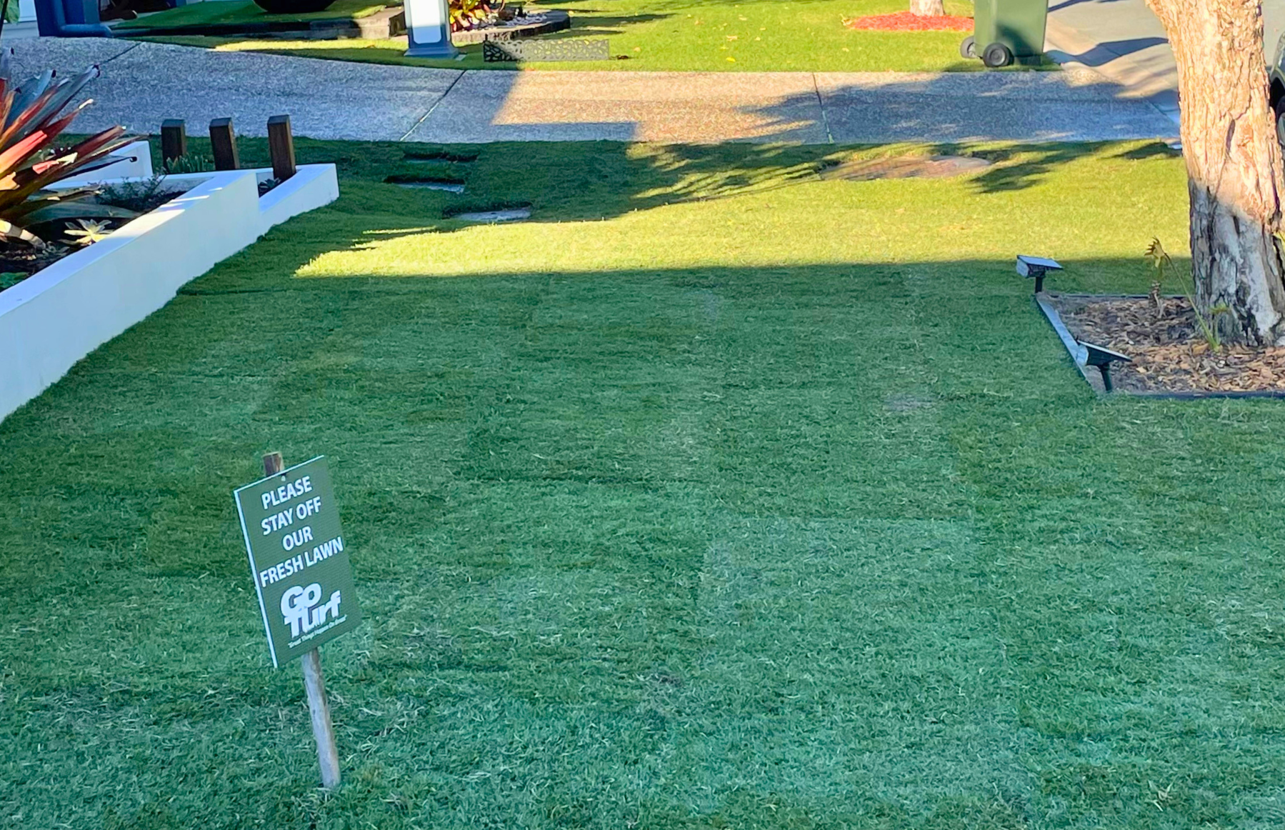 When to Install Your New Lawn During Home Renovations: Complete Timing Guide