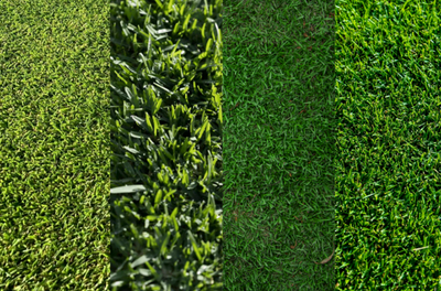 Which Turf Variety is Right for My Yard? The Ultimate SE Queensland Gu ...