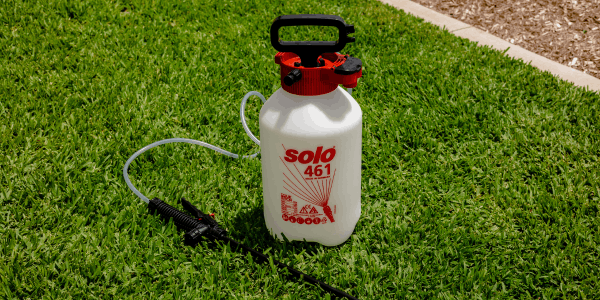 Solo