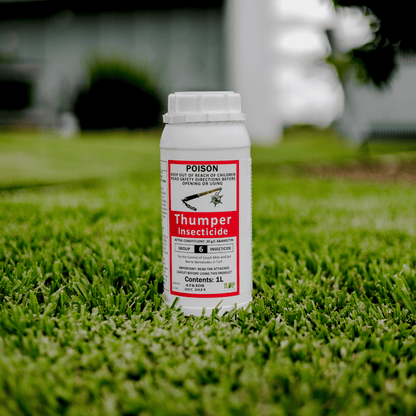 Thumper Insecticide