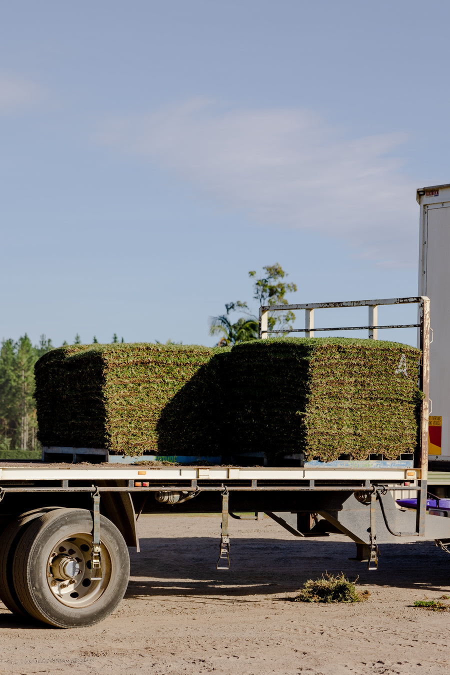 GoTurf - South East Queensland's top provider of lush, green turf