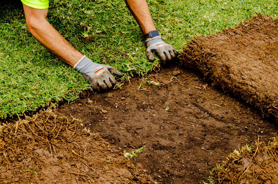 GoTurf - South East Queensland's top provider of lush, green turf