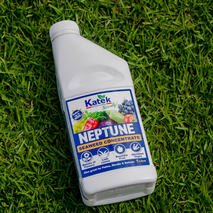Katek Neptune Kelp Concentrate