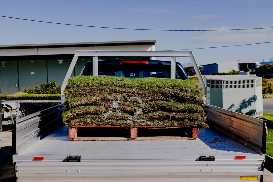 GoTurf - South East Queensland's top provider of lush, green turf