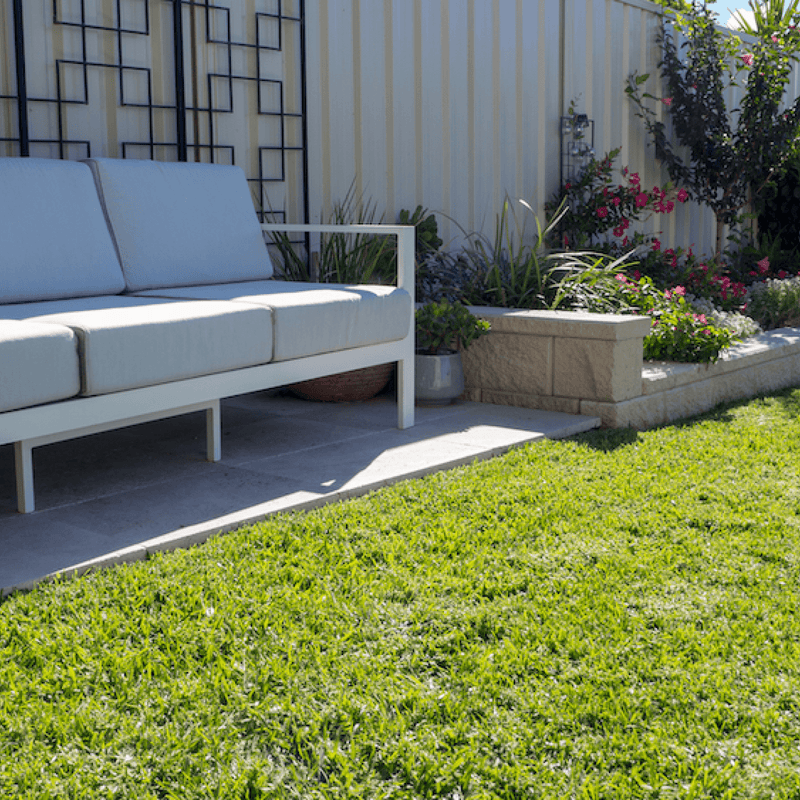 Elevate Your Lawn with Our Turf Products – GoTurf