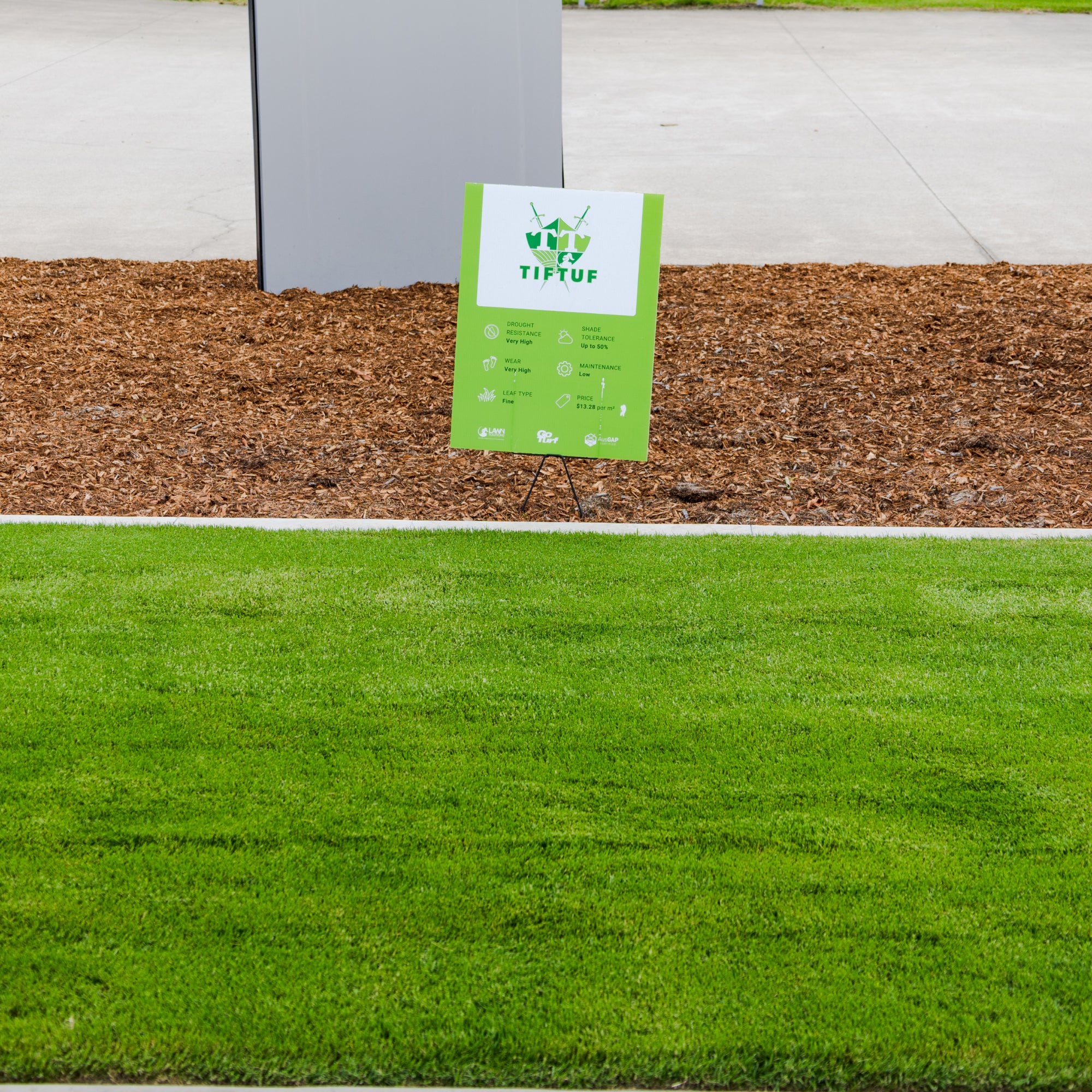 TifTuf Hybrid Bermuda Grass - Drought Tolerant – GoTurf