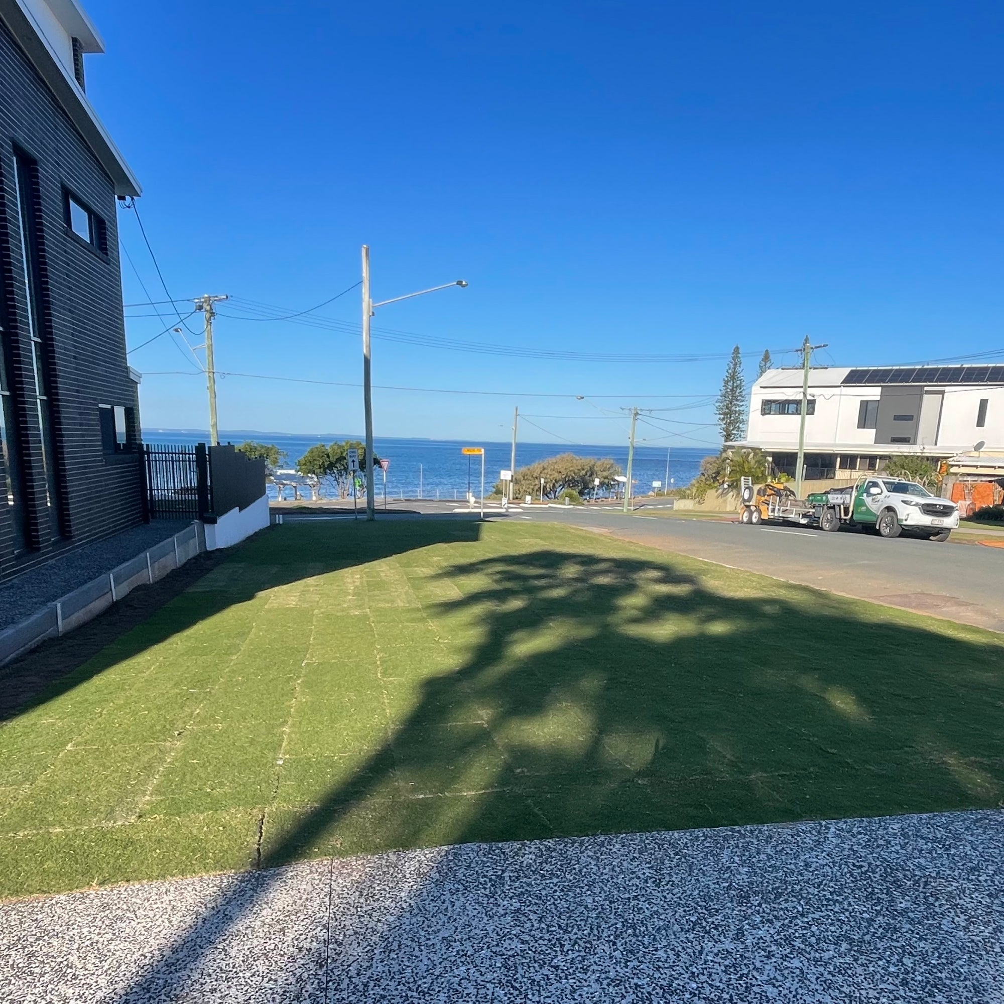 TifTuf Hybrid Bermuda